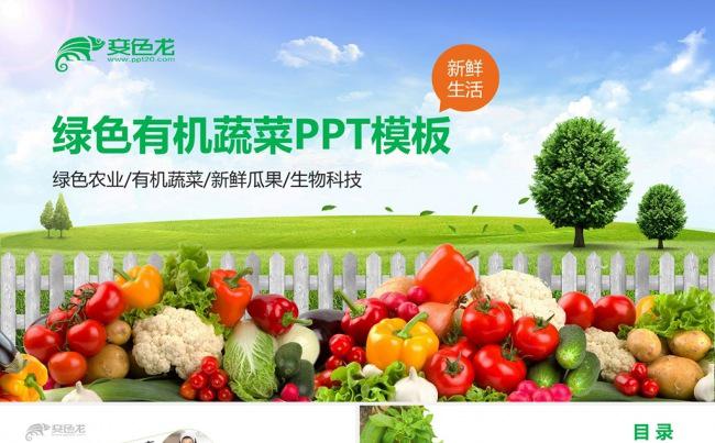 绿色有机蔬菜水果生物科技ppt模板缩略图