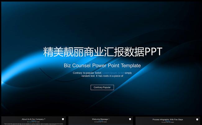 【LY】精美靓丽商业汇报数据PPT缩略图