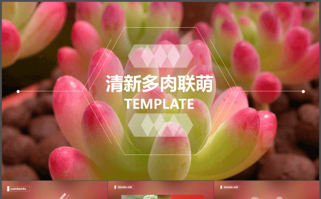 小清新多肉主题简洁时尚通用女生演讲汇报总结计划展示动态模板缩略图