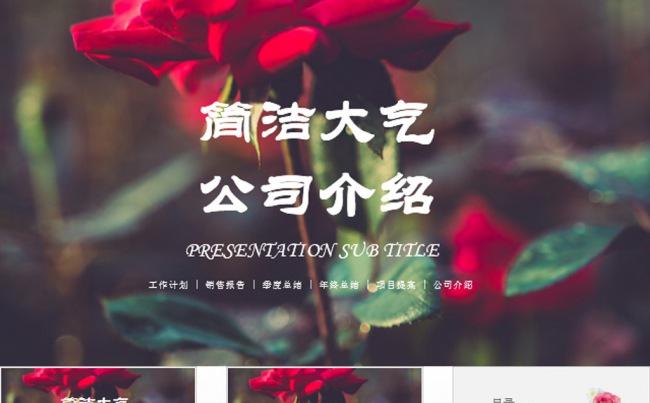 简洁大气商务工作总结PPT模板缩略图