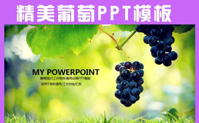 精美葡萄庄园红酒文化PPT模板缩略图