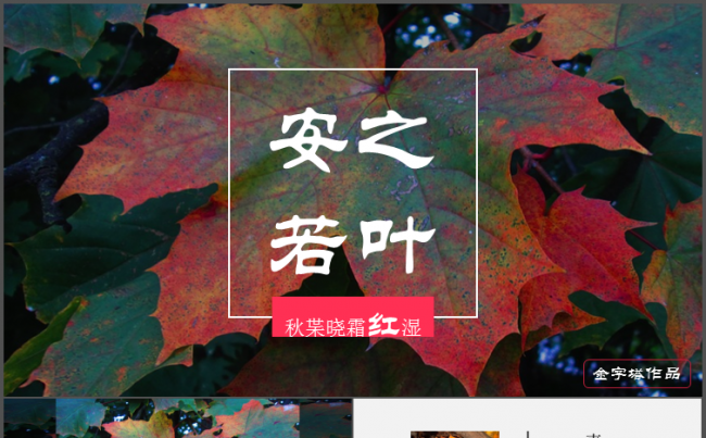 一叶知秋安静大气商务PPT模板缩略图