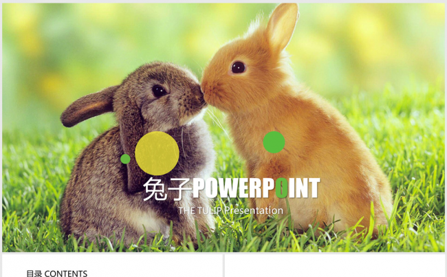 一对可爱的小白兔ppt动态模板缩略图