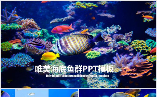 唯美海底世界海洋ppt动态模板缩略图