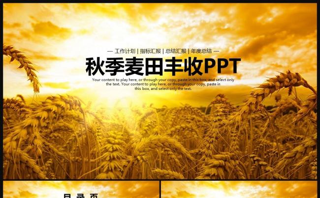 农业丰收秋天麦子银杏金黄色收获PPT缩略图