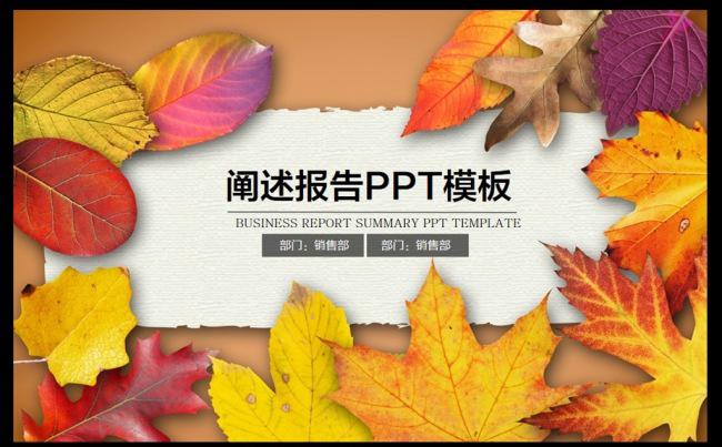 秋叶工作总结汇报 教育 阐述报告动态ppt模板缩略图