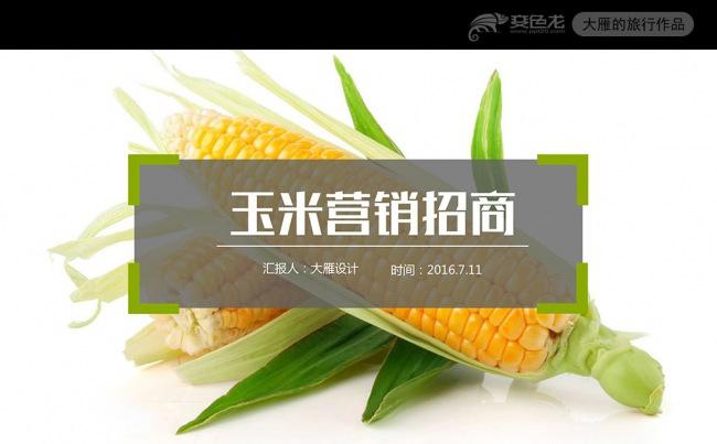 精美农业生鲜新鲜玉米蔬菜营销介绍PPT模板缩略图