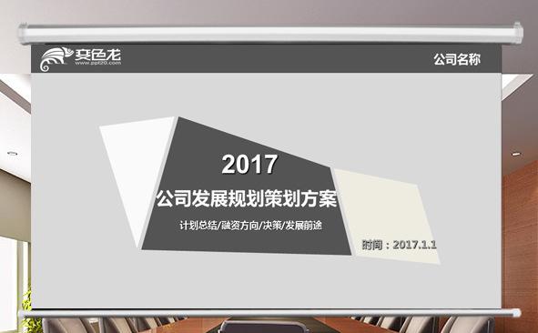 2017公司发展规划策划方案缩略图