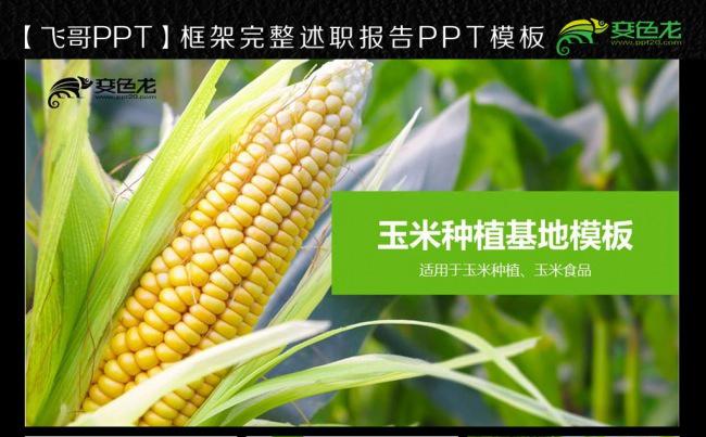 【飞哥PPT】绿色玉米种植基地ppt模板缩略图