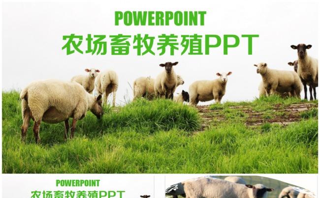 清新农场草原畜牧养殖行业PPT缩略图