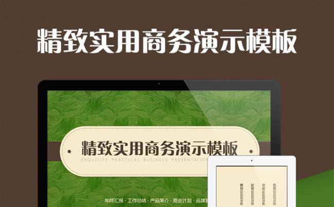 精致实用商务演示PPT模板缩略图