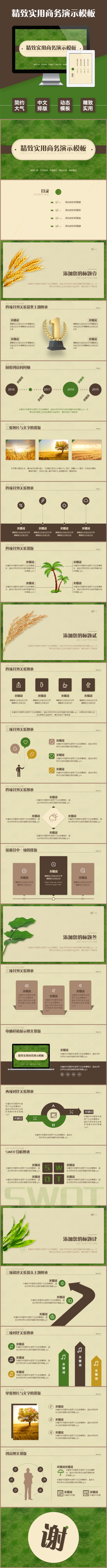 精致实用商务演示PPT模板
