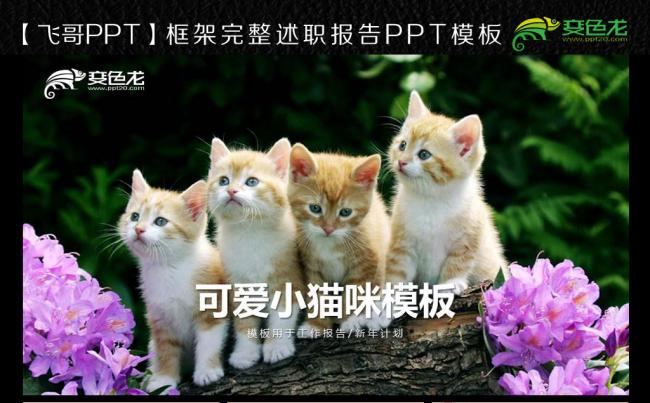 【飞哥PPT】小猫咪喵星人 ppt模板缩略图