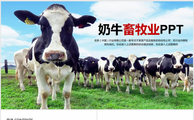 畜牧业乳业农场养殖农业奶牛PPT模板缩略图