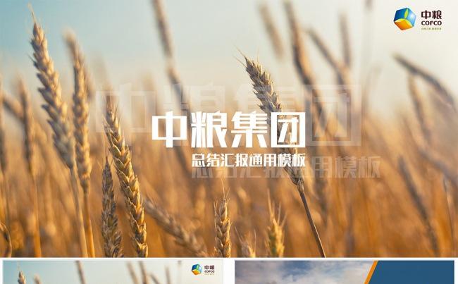 【狂人作品】中粮集团总结汇报通用ppt模板缩略图