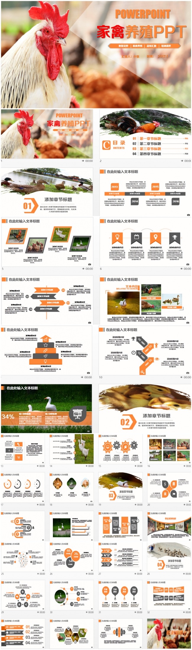 家禽养殖生态养殖养鸡养鸭PPT
