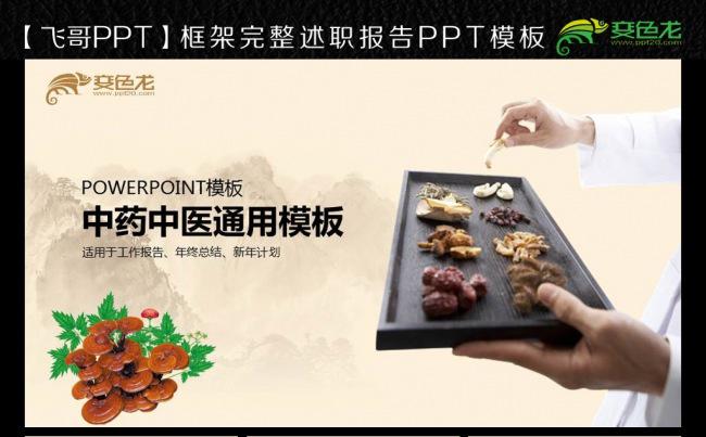 传统中医工作报告ppt模板缩略图