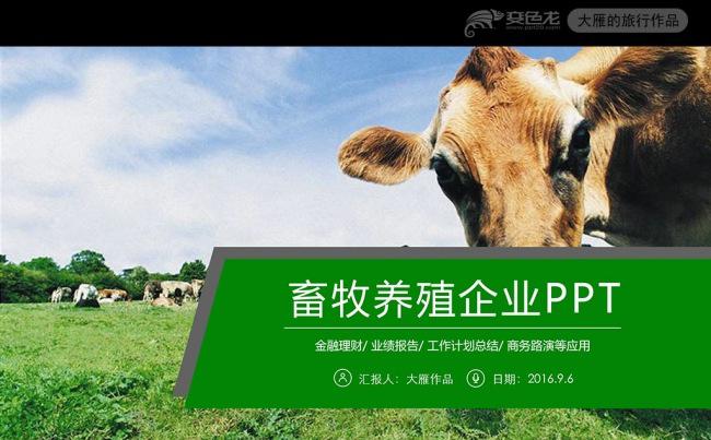 草原畜牧业奶牛养殖乳业PPT模板缩略图