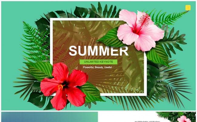 【创意设计】夏日清新商务模板缩略图