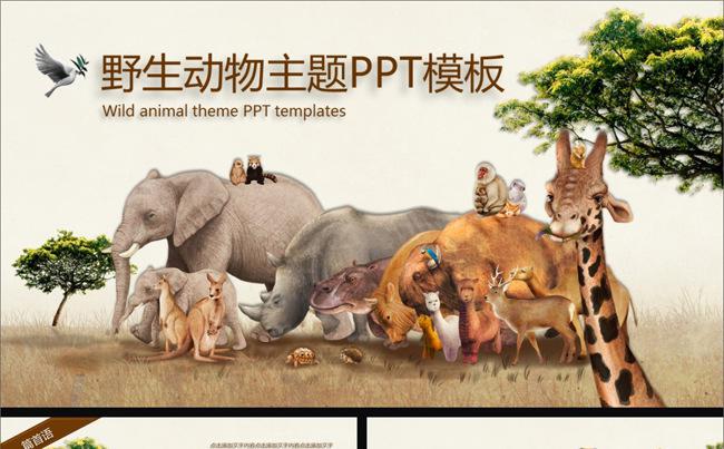 41P保护野生动物动物园主题PPT缩略图