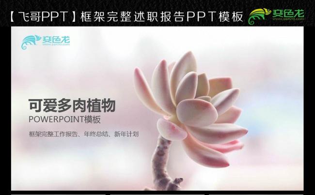 多肉植物花艺 花卉 花店 仙人掌ppt模板缩略图