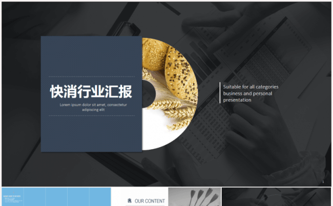 【精品】快消品行业发展汇报PPT模板缩略图