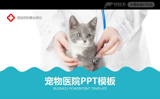 宠物医生宠物诊所宠物医院PPT模板缩略图