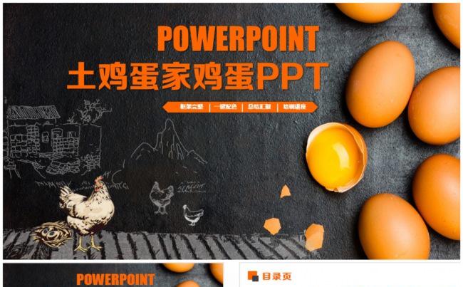 精美土鸡蛋家鸡鸡蛋家禽饲养PPT缩略图