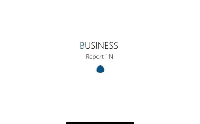 北欧商务UI风格---[二三年]《Business  N 》缩略图