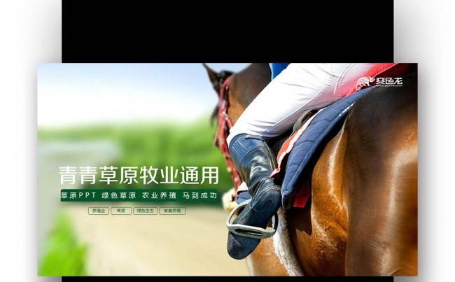种植 林业局 园林工程 树林 草地缩略图