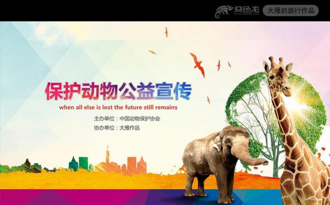 动物世界保护野生动物ppt动态模板缩略图