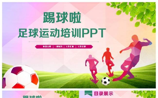 简洁足球运动足球培训PPT缩略图