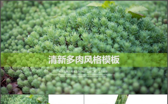 小清新多肉植物花朵主题通用总结计划课件演讲案例介绍自然生物缩略图