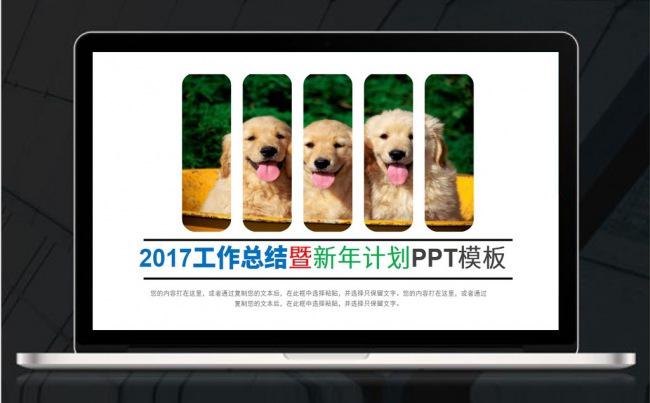 工作总结PPT模板缩略图