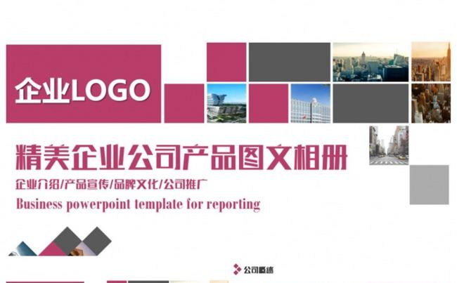 典雅精致公司相册企业相册产品宣传公司推广PPT缩略图