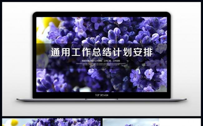 【李小白】韩式风格水彩花卉雅致工作总结模板缩略图