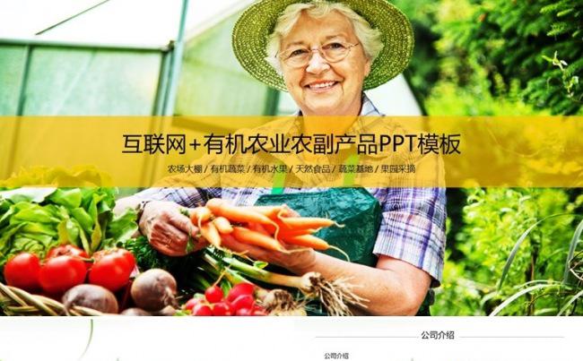 【境海】互联网+有机农业农副产品推广宣传PPT模板缩略图
