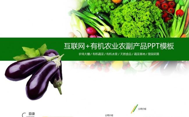 【境海】有机农蔬，健康相随-互联网+有机农业农副产品推广模板缩略图