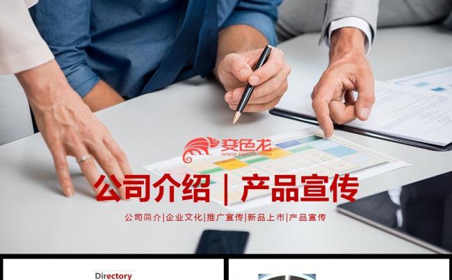 稳重大气公司简介企业宣传PPT模板缩略图