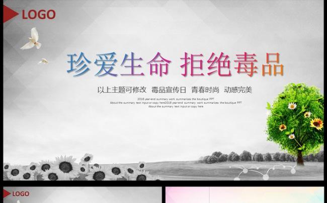 禁毒通用述职报告PPT模板图片下载缩略图