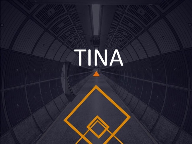 【TINA】清新杂志排版欧美大气极简画册商务汇报团队小组总结