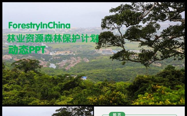 绿色森林植树造林林业管理木材园林绿化PPT缩略图