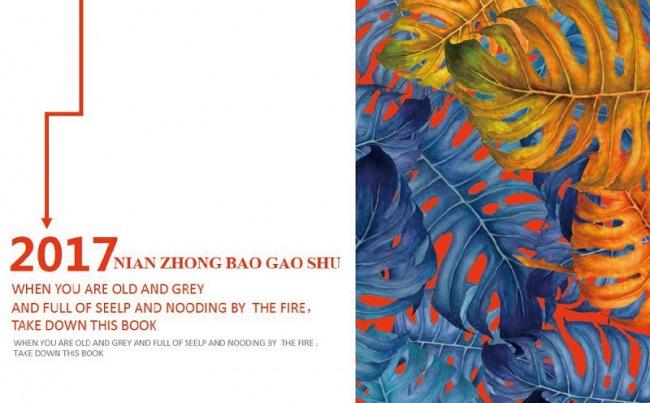 【时尚创新】2017新年计划和年终报告缩略图
