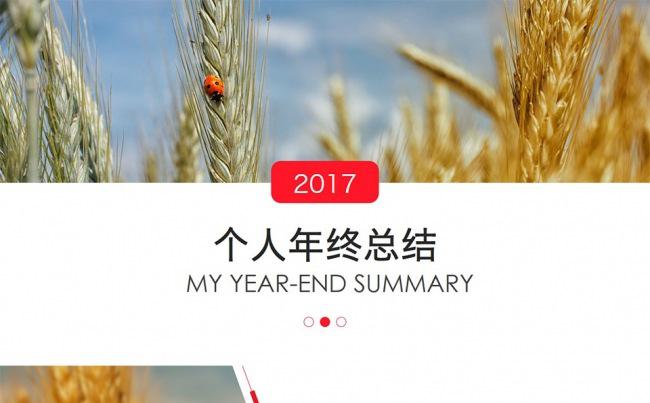 红色商务个人年终总结工作汇报动画PPT模板缩略图