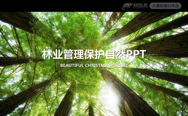 林木环保植树造林林业管理保护自然PPT缩略图