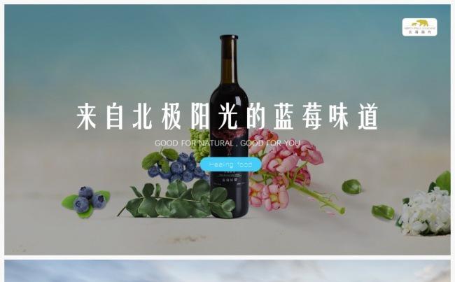 【LEE】【唯美食与爱不可辜负】蓝莓产品介绍PPT模板缩略图