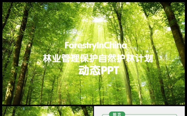 林业管理生态自然保护园林绿化通用PPT缩略图
