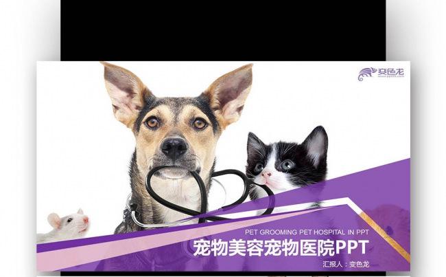  宠物医院 宠物美容 宠物用品 兽医犬 狗粮 兽医缩略图