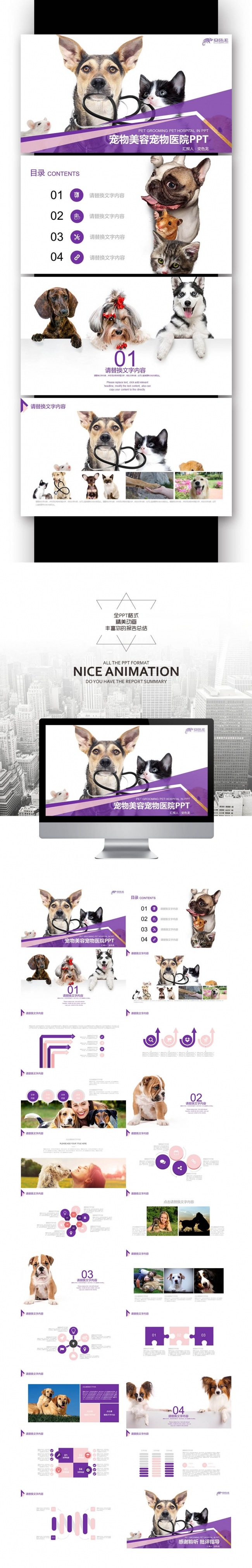  宠物医院 宠物美容 宠物用品 兽医犬 狗粮 兽医