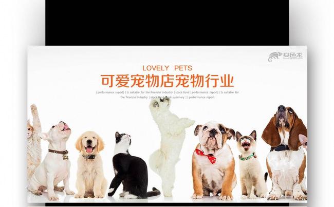 宠物医院 宠物美容 宠物用品 兽医犬 狗粮 兽医缩略图
